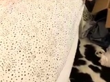 Brunette in pink lingerie teases and masturbates